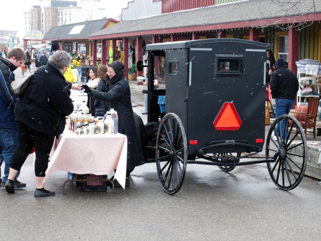 IMG_5313